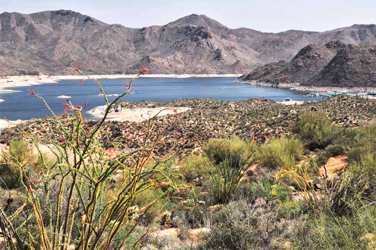 bartlett lake